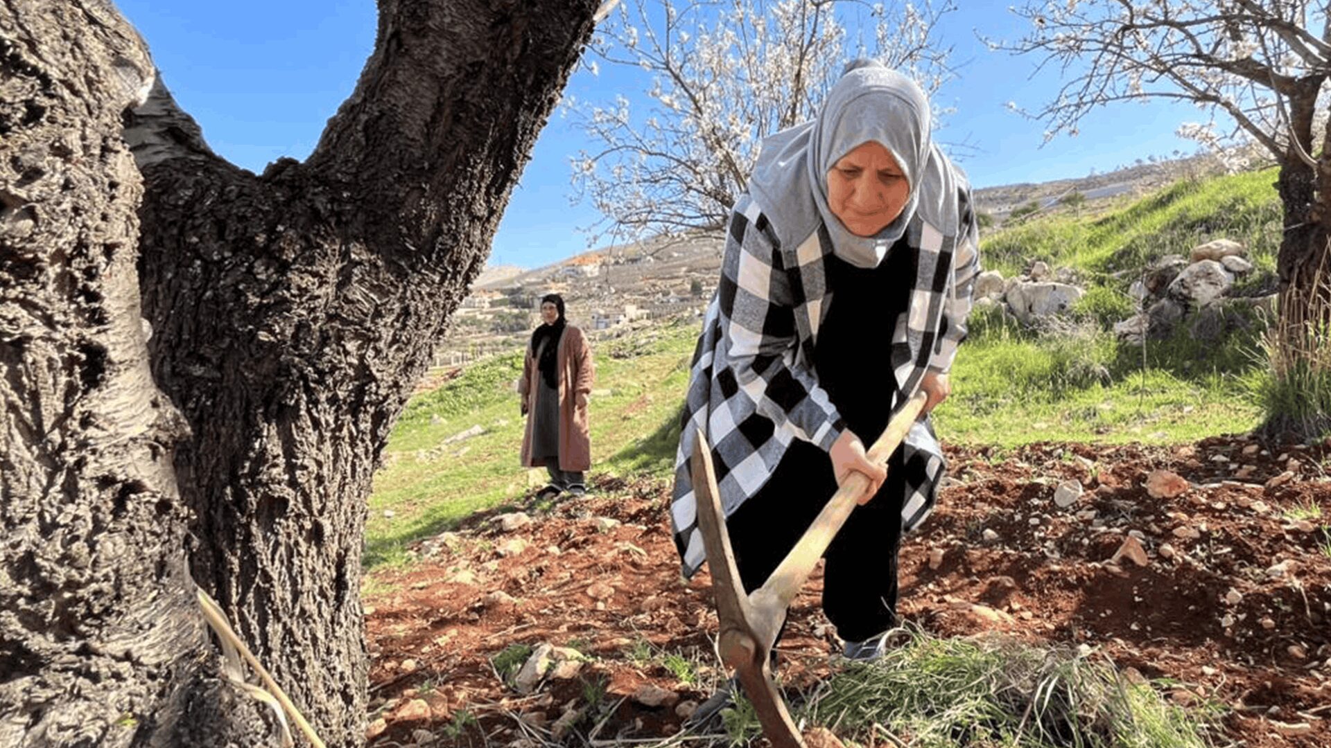 In Lebanon’s Bekaa Valley, Water Scarcity Impacts Women’s Livelihoods